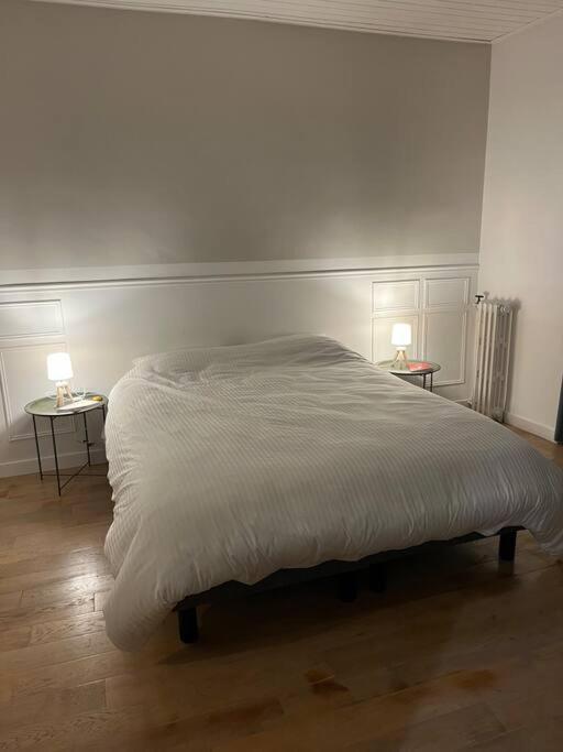 Plein Centre Maison Appartement 100 M De La Plage 150 M Du Port Ле-Сабль-д'Олонн Екстер'єр фото